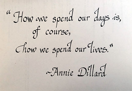 How we spend our days is, of course, how we spend our lives. Annie Dillard